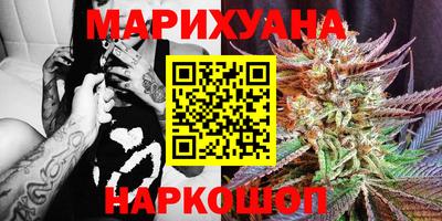 сатива Балахна