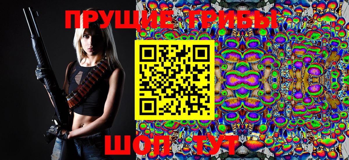 Псилоцибиновые грибы MAGIC MUSHROOMS  сколько стоит  Гусь-Хрустальный  Вход с VPN 